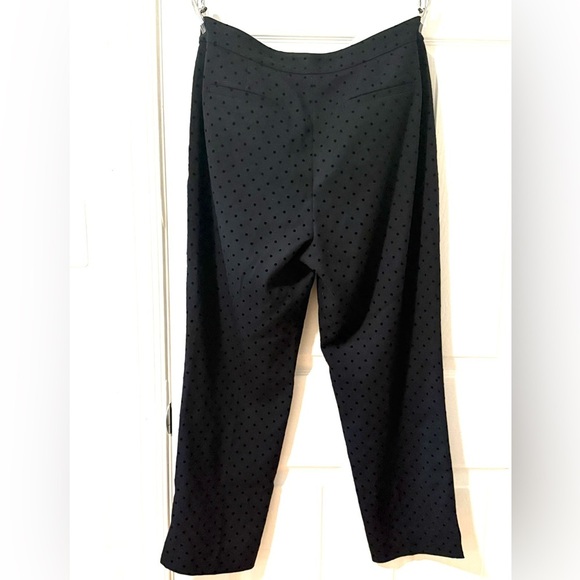 Gently Worn Banana Republic Black Pants with Polka Dots - Picture 4 of 4
